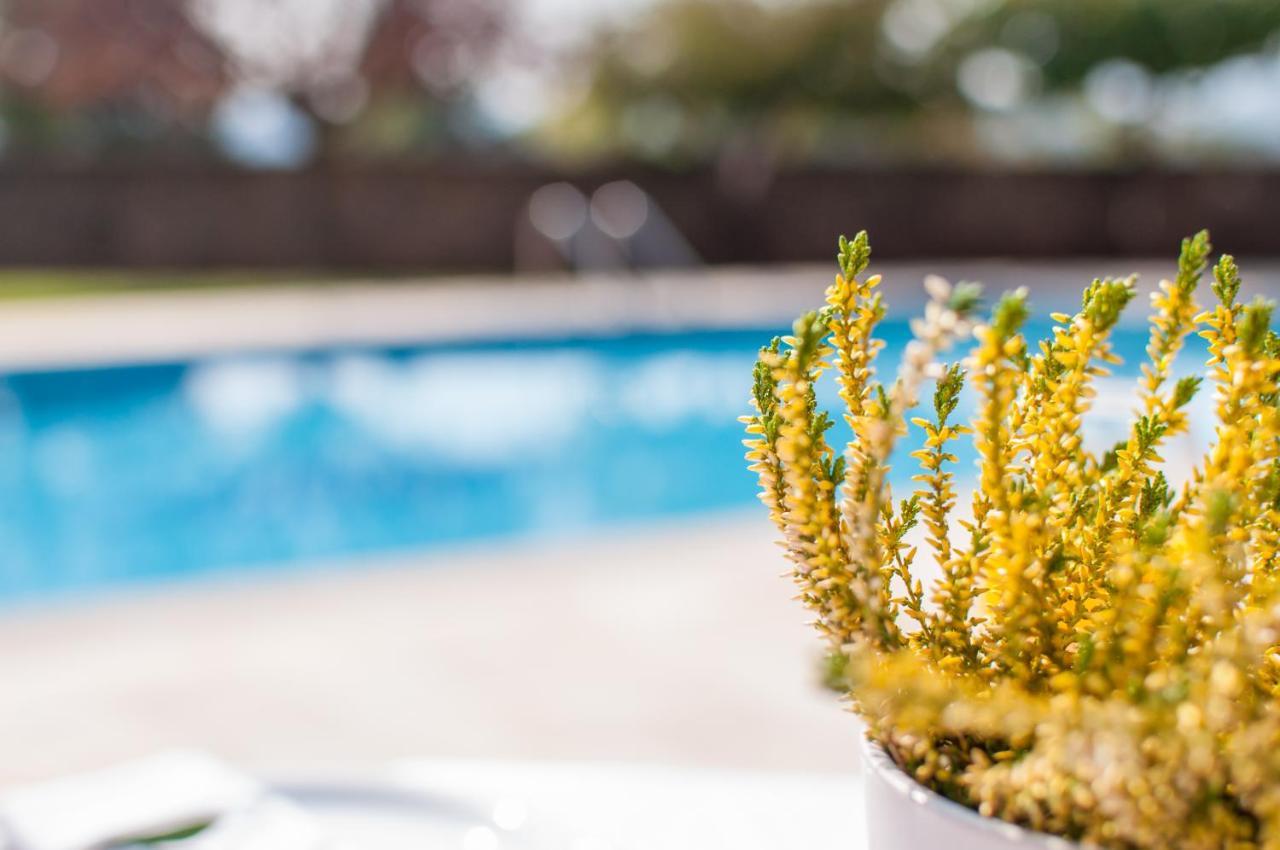 Villa Nefeli Δασιά Εξωτερικό φωτογραφία